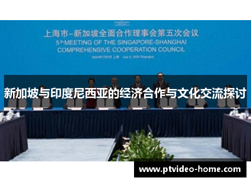 新加坡与印度尼西亚的经济合作与文化交流探讨